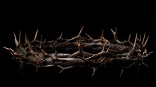 A Realistic Crown Of Thorns Made From Tree Branches