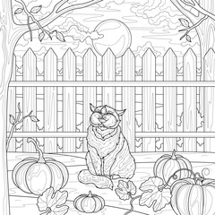 Wall Mural - Cat and pumpkins near the fence.Coloring book antistress for children and adults.