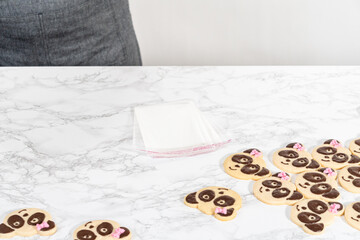 Wall Mural - Panda shaped shortbread cookies with chocolate icing