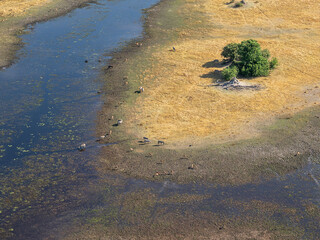 Wall Mural - Botswana