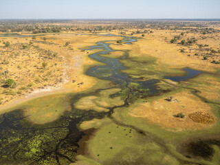 Wall Mural - Botswana