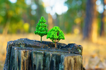 Wall Mural - Old Tree Stump with Fresh Green Saplings on Top