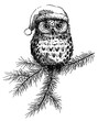 A festive picture painted with a pen for gifts for Christmas and new year for decor, prints, posters with an image of an owl in a hat.