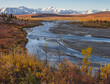 Scenic Autumn View of Savage River in Denali National Park