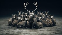  A Herd Of Deer Sitting Next To Each Other On A Field.  Generative Ai