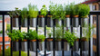 A DIY vertical garden on a balcony with various herbs and small plants in repurposed tin cans.