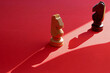 A chess piece and its shadow on a red background. Knight in Chess
