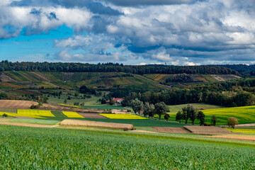 Sticker - Weinberge im Herbst