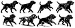 Labrador retriever dog silhouette in different poses