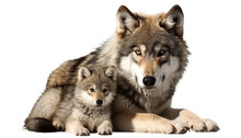 Wolf And Its Wolf Cub, Cut Out