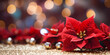 Christmas poinsettia flowers decoration with christmas ornaments balls over sparkling background. Festive banner composition with copy space.