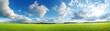 Ein grünes Feld, Grüne Wiese mit Bäumen und blauem Himmel , Panorama, Texture, Design