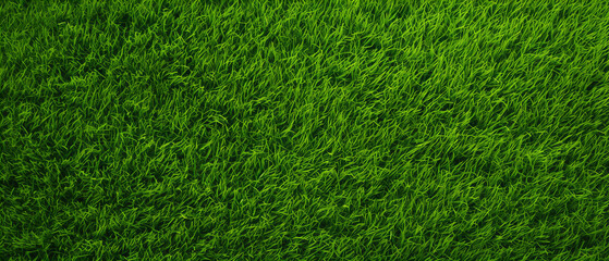 Eine Nahaufnahme der Grasstruktur, Design, Texture