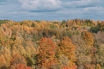 Wall Mural - autumn in the mountains