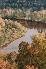 Wall Mural - autumn in the forest