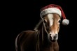horse with christmas hat
