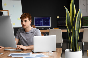 Canvas Print - Male programmer working with computer at table in office