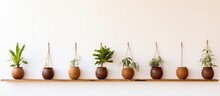 Ceramic Planters Hanging On White Wall