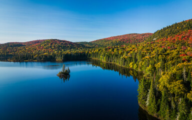 Wall Mural - autumn in mont tremblant national park, quebec, canada