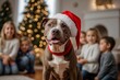 © Anisgott - A playful pitbull dog, adorned with a whimsical Santa hat, romps on a cozy sofa in the heart of a lovingly decorated living room surrounded by children