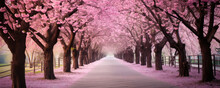 An inviting walkway amidst vibrant pink trees in full bloom, offering a tranquil escape in nature. AI Generative serenity.