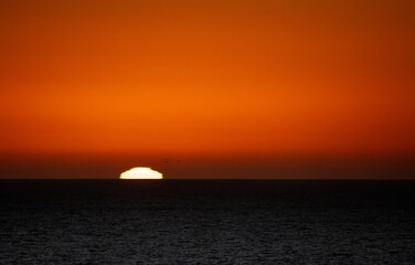 Wall Mural - sunset over the sea with deep orange sky 