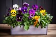 vibrant pansies arranged in a wooden box