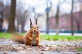 a squirrel eating a nut in a city park