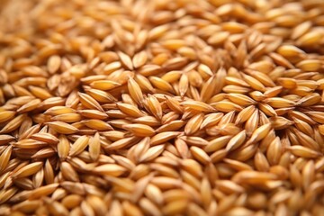 Poster - close-up of wheat seeds