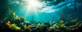 Fototapeta  - Paisaje submarino - Arrecife de coral - Fondo marino peces algas - Agua oceano 