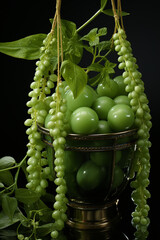 Aufkleber - this image is a close up of a pod of white baby pearls,   