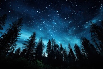 night sky in forest, view of star on night sky through tree brunches. AI Generative