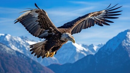  A breathtaking shot of a golden eagle soaring high above snow-capped peaks, its wings outstretched in majestic flight. Generative AI