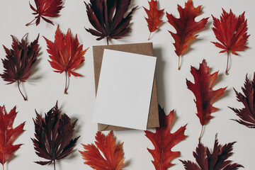 Wall Mural - Autumn composition. Colorful red, crimson oak and maple leaves isolated on white background. Blank greeting card, invitation mockup for Halloween, Thanksgiving. Fall concept. Flat lay, top view.