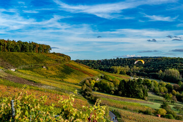 Sticker - Weinberge im Herbst