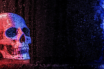 Wall Mural - Scary skull Halloween