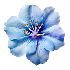 isolated illustration of blue exotic flower. Created with Generative AI