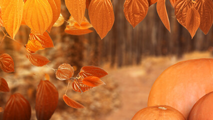 Sticker - Autumn background