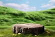 mock up of empty green wood trunk stump nature podium stand stage landscape meadow grass background. green wood trunk stump nature podium stage display nature. generative ai.