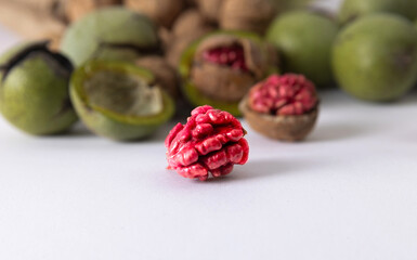 Wall Mural - Red walnut harvest. Stil life and isolated images