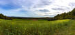 Panorama of rapeseed field in Franconian Switzerland