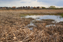 New Housing Development Beside Protected Wetlands In The Kanata Area Of Ottawa, Ontario, Canada