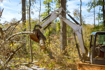 Wall Mural - Trees cleared from during land landscaping work with tractor skid steer for housing complex construction