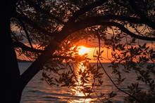 The Sunset Sun Over The Calm Sea Breaks Through The Branches And Foliage Of The Trees