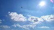 historisches Flugzeug fliegt langsam am blauen Himmel bei prallem Sonnenschein, Propellermaschine