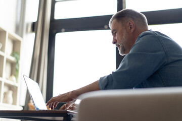 Canvas Print - Senior man in casual clothing using laptop and smiling while sitting on the sofa, working from home.