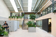 © ADDICTIVE STOCK - Bright Madrid coworking space with greenery