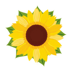 Poster - Colored sunflower Cute flower spring season Vector