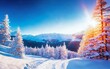 Winter snow landscape. Christmas background. Fir tree forest on ski mountain. Nature sunrise view, sun in sunset sky Wood scenery beauty. Cold white color ice New year snowy scene. Xmas travel morning