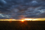 Fototapeta  - Sunset with bright orange rays and cloudy sky over the field.